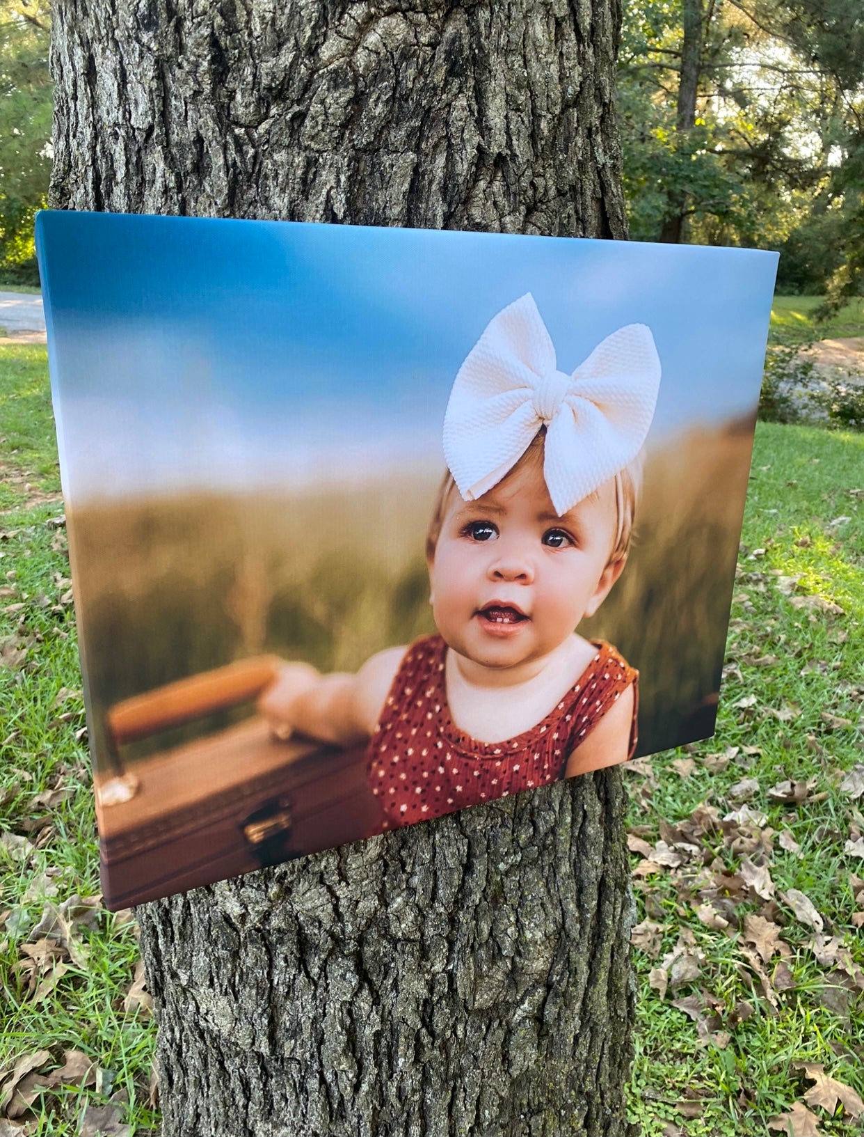 Custom Wrapped Canvas Print